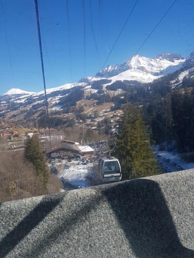 Chalet Grueneggli Adelboden Exterior photo
